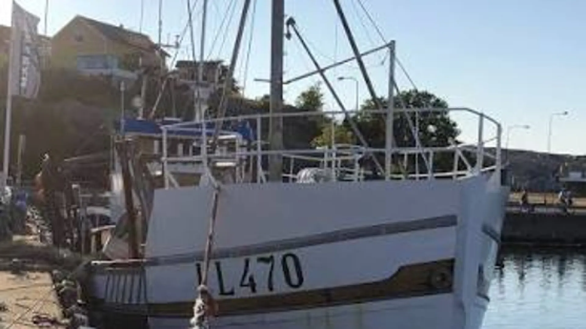 LL 470 STARLET