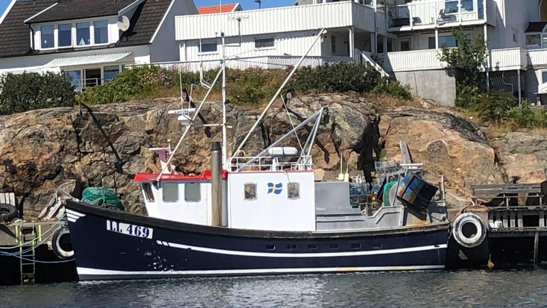 LL 469 ELIN