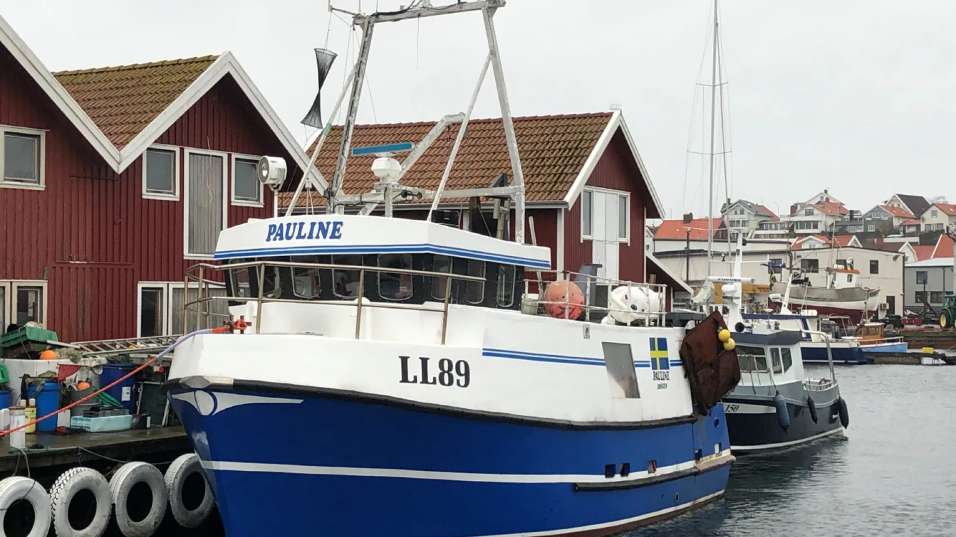 LL 89 PAULINE