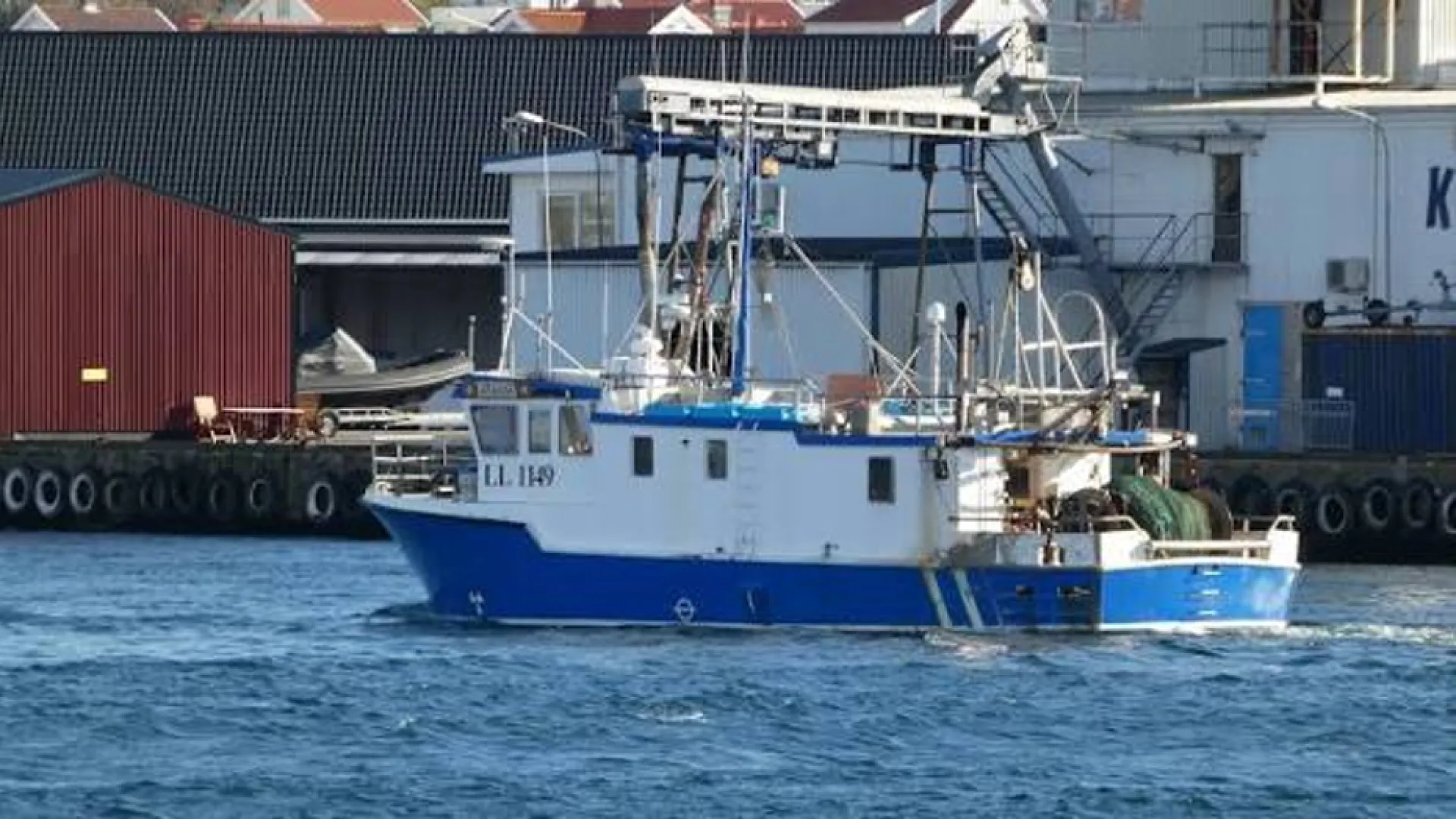 LL 1149 HERRING