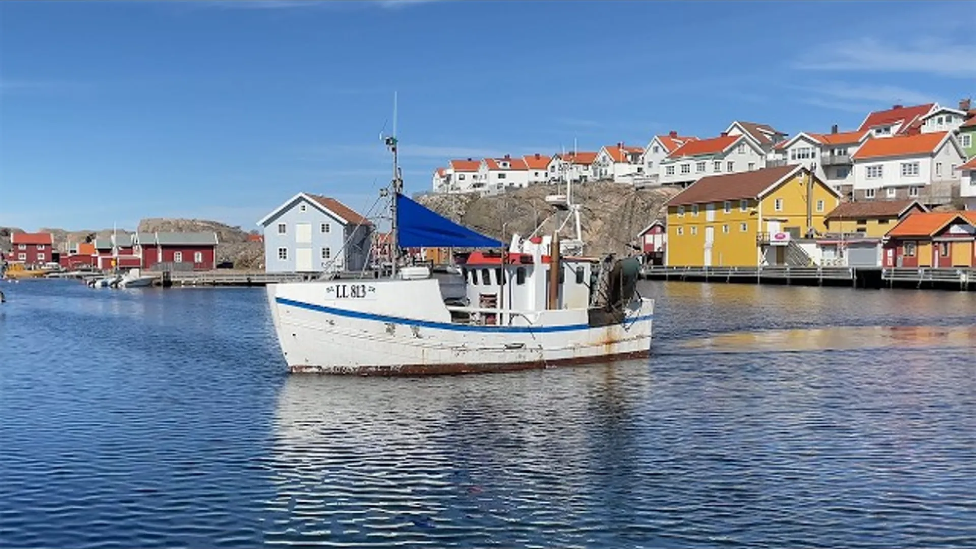 LL 813 WARDÖ