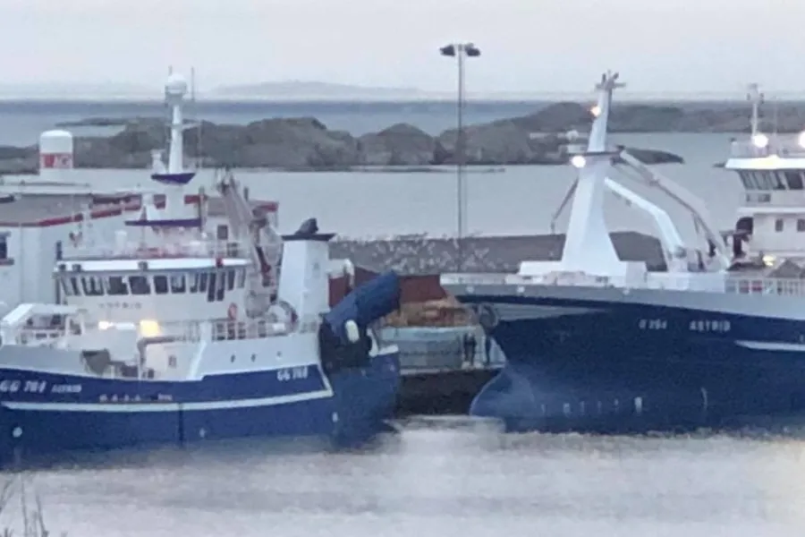 Havsfiske