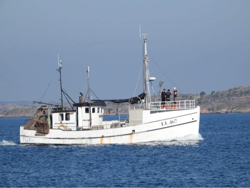 LL 467 GULLBRIS