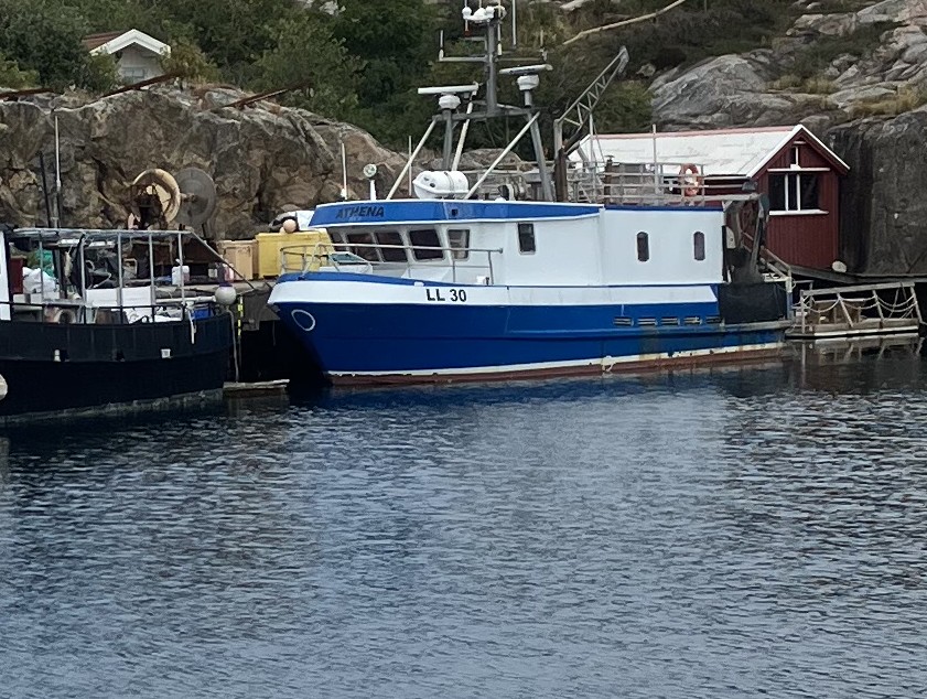 LL 30 ATHENA